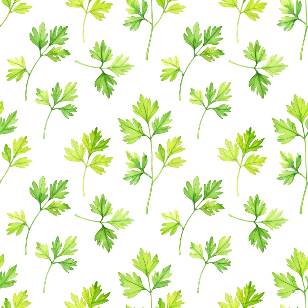 생생한 파슬리 잎 패턴