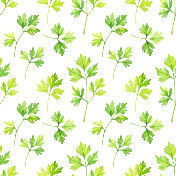 생생한 파슬리 잎 패턴 Image