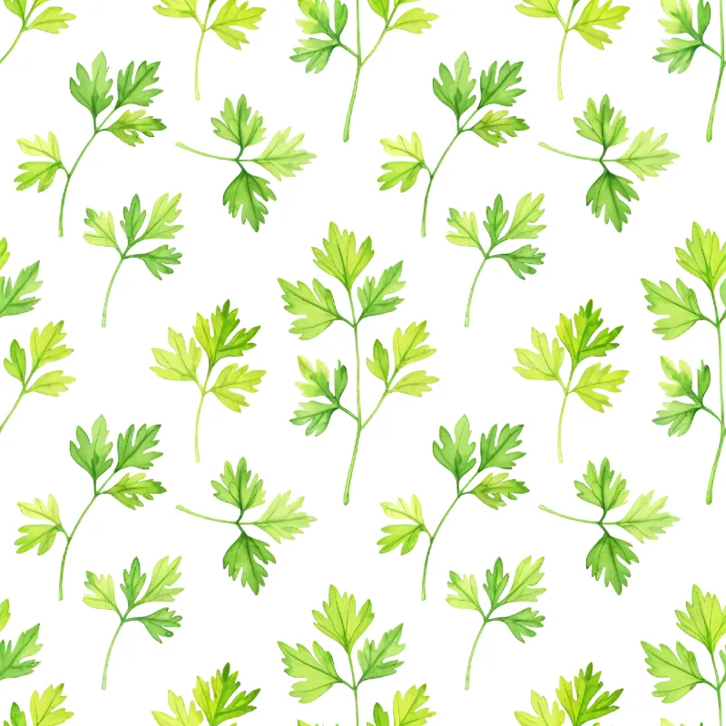 Vibrant Green Parsley Leaves Pattern Image